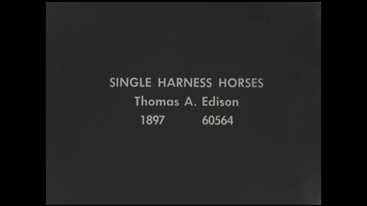 Single Harness Horses (1897 Original Black & White Film)