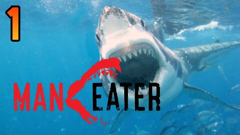 It Is Shark-Night | Unleash The Apex
