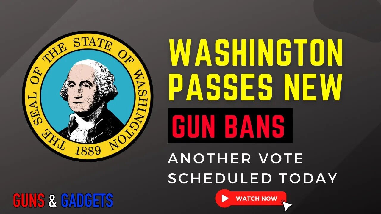 Washington Passes Gun Bans