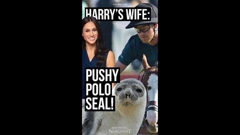 Harry´s Wife's Shorts : Pushy Polo Seal ! (Meghan Markle)