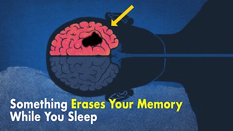 Something Erases Your Memory While You Sleep