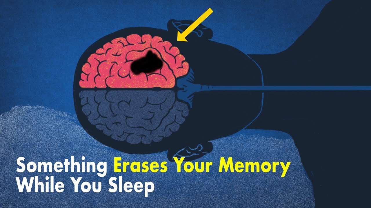 Something Erases Your Memory While You Sleep