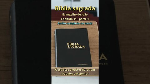 Bíblia Sagrada - Evangelho de João - Capítulo 11 - parte 1