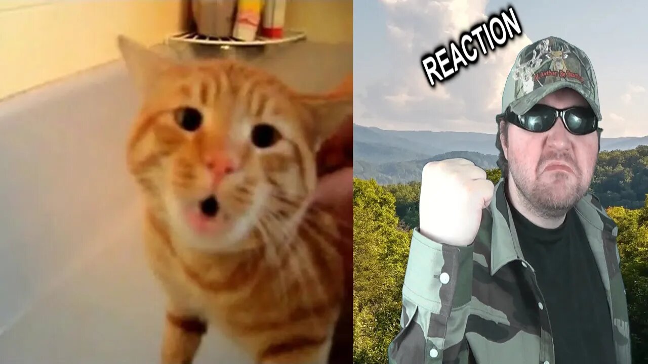 Official Video: Cat Bath Freak Out -Tigger The Cat Says 'NO!' To Bath REACTION!!! (BBT)