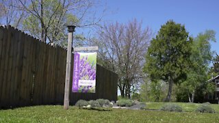 For Wright, the lavender farm is more than a hobby.