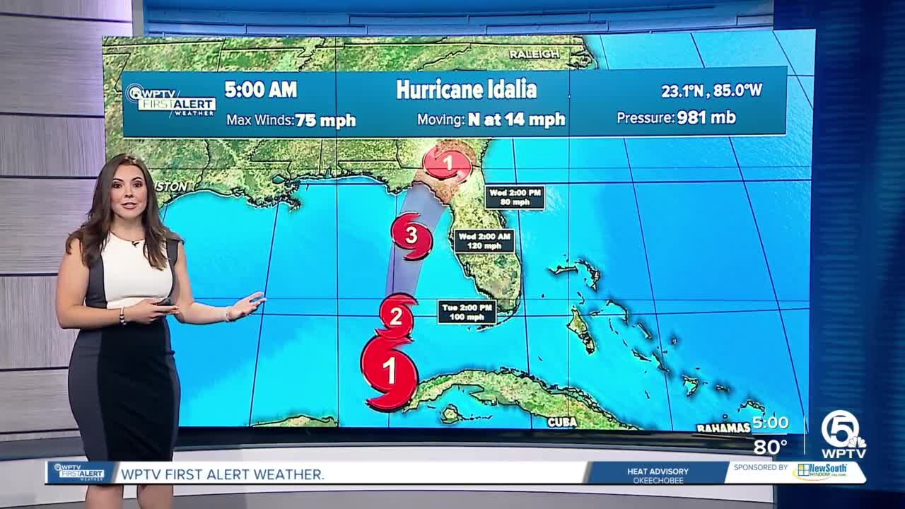 Hurricane Idalia forecast, morning of Aug. 29, 2023