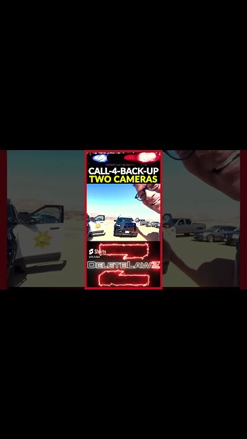 Journalist w two cameras