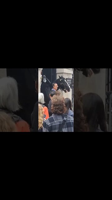 Horse gets fed up with this tourist gives him a bite #horseguardsparade