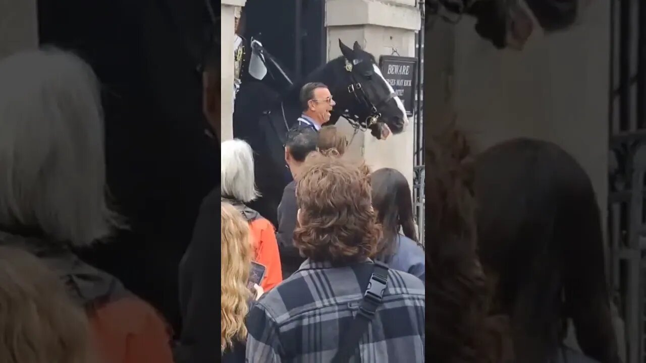 Horse gets fed up with this tourist gives him a bite #horseguardsparade