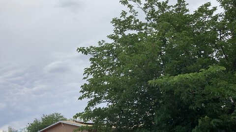 Cotton Balls in the northeastern skies of New Mexico