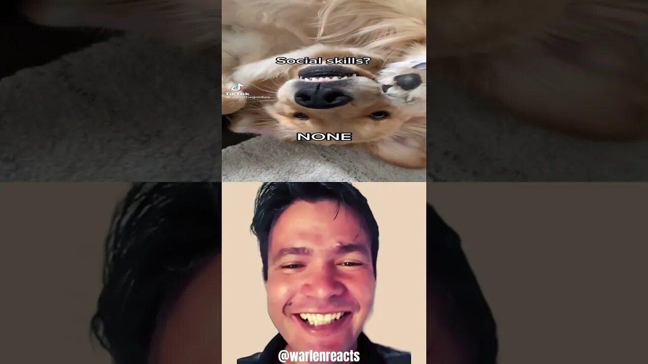 Warlen reacts #memes #memes #dankmemes #funnymemes #react #xqcreacts #freshmemes #unusualmemes