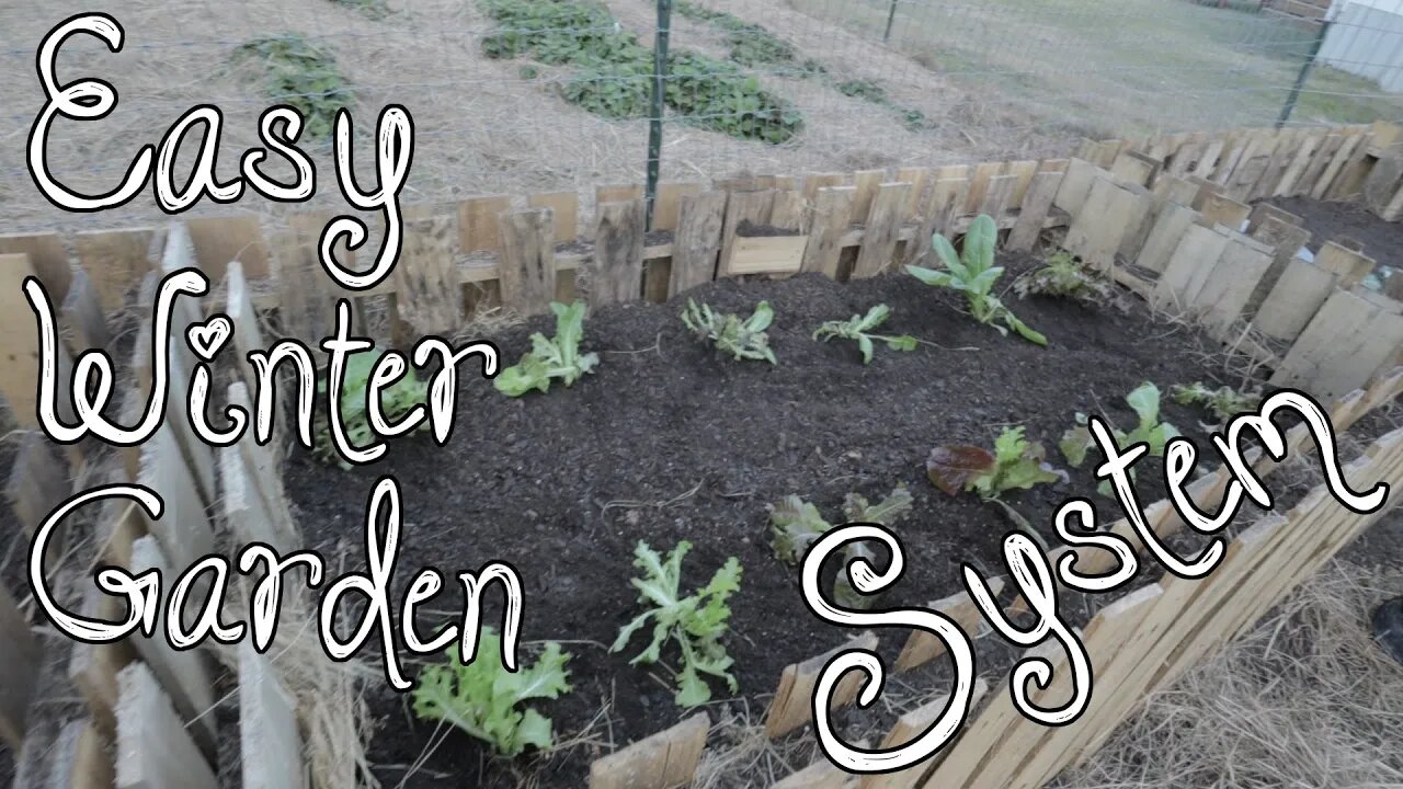 Easy Winter Garden System! Pallets & Hay!Raised Beds! Be Ye Thankful