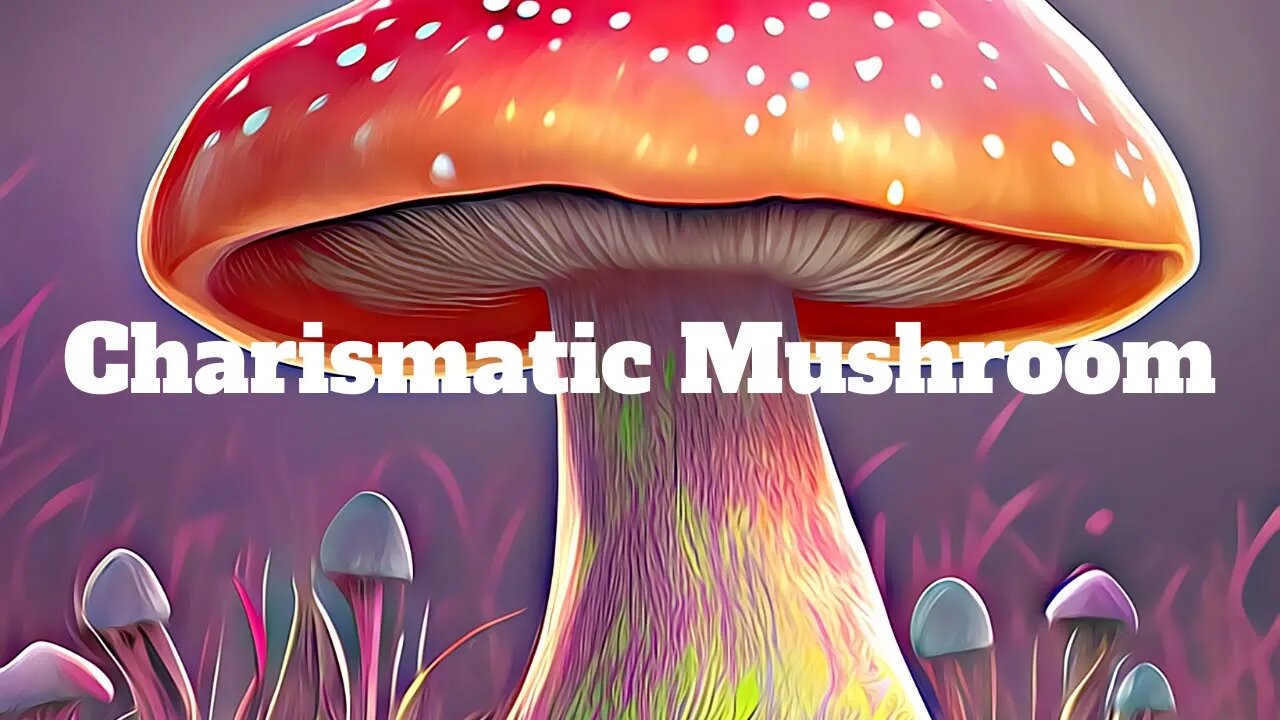 [Chill Lofi Hiphop Beat] - Charismatic Mushroom 🎧🍄🪄