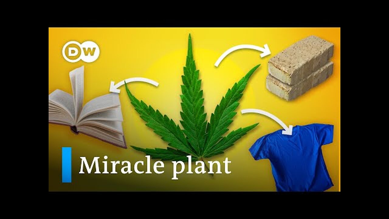 Why outlawing hemp/cannabis is the biggest mistake