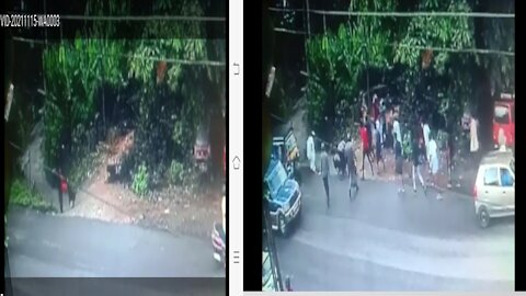 The Wife's attacked dogs, public roads Show Cctv