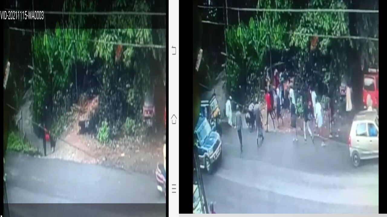 The Wife's attacked dogs, public roads Show Cctv