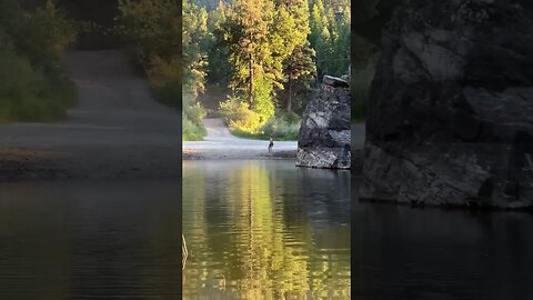 #wildernessliving #montana #livingthedream #kidsswimmingvideos #kids #families #wildernesslife