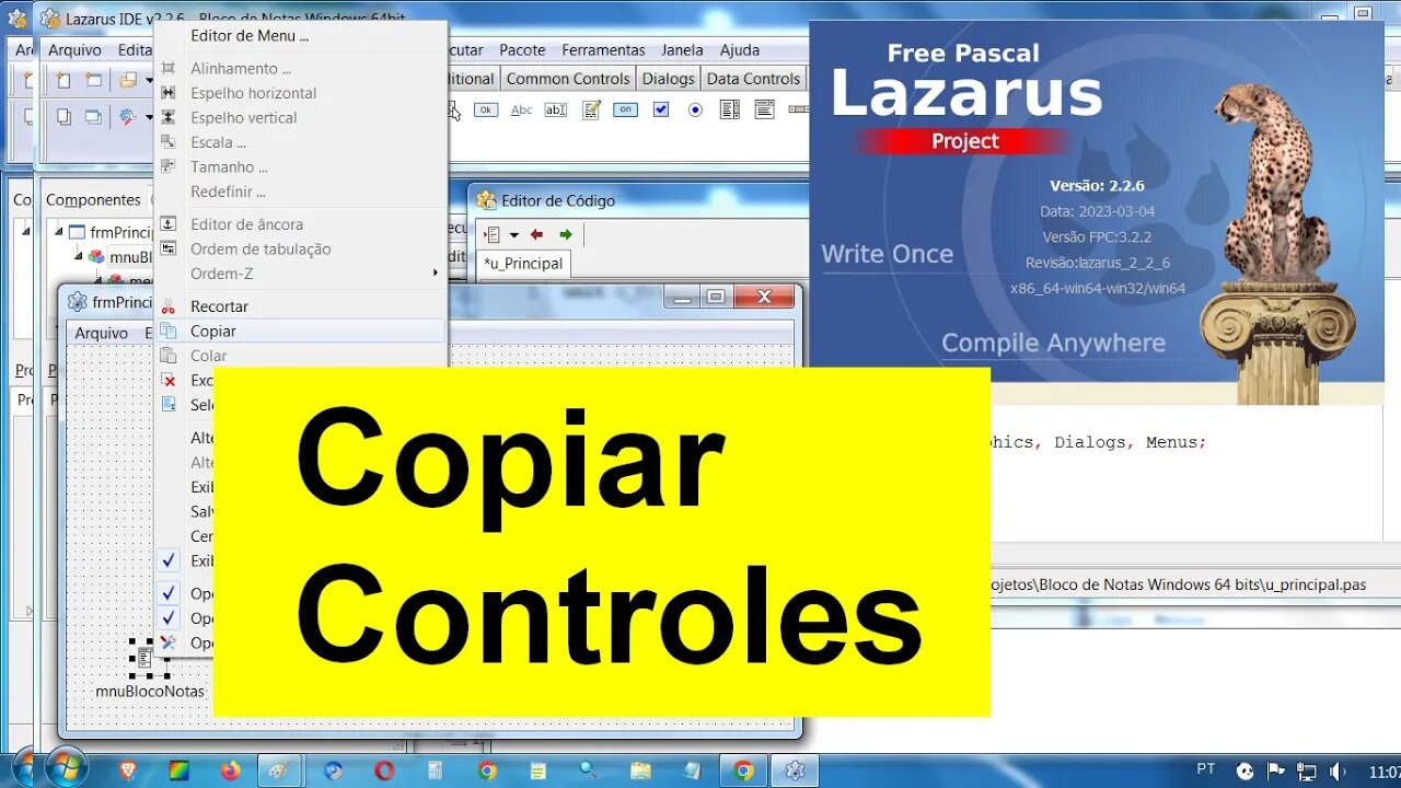 17- Otimizando o Trabalho. Copiar Controles e Códigos para Outro Projeto