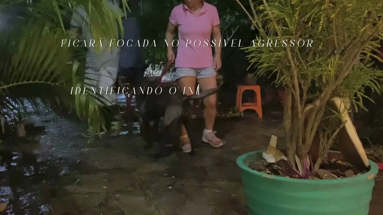 ß Ø ¥ Å & JAPA PROTEÇÃO PESSOAL