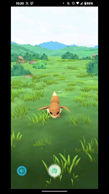 taking a picture of eevee