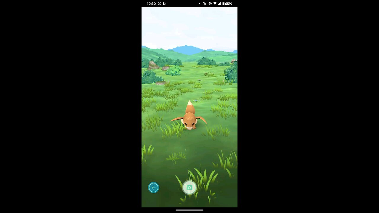 taking a picture of eevee