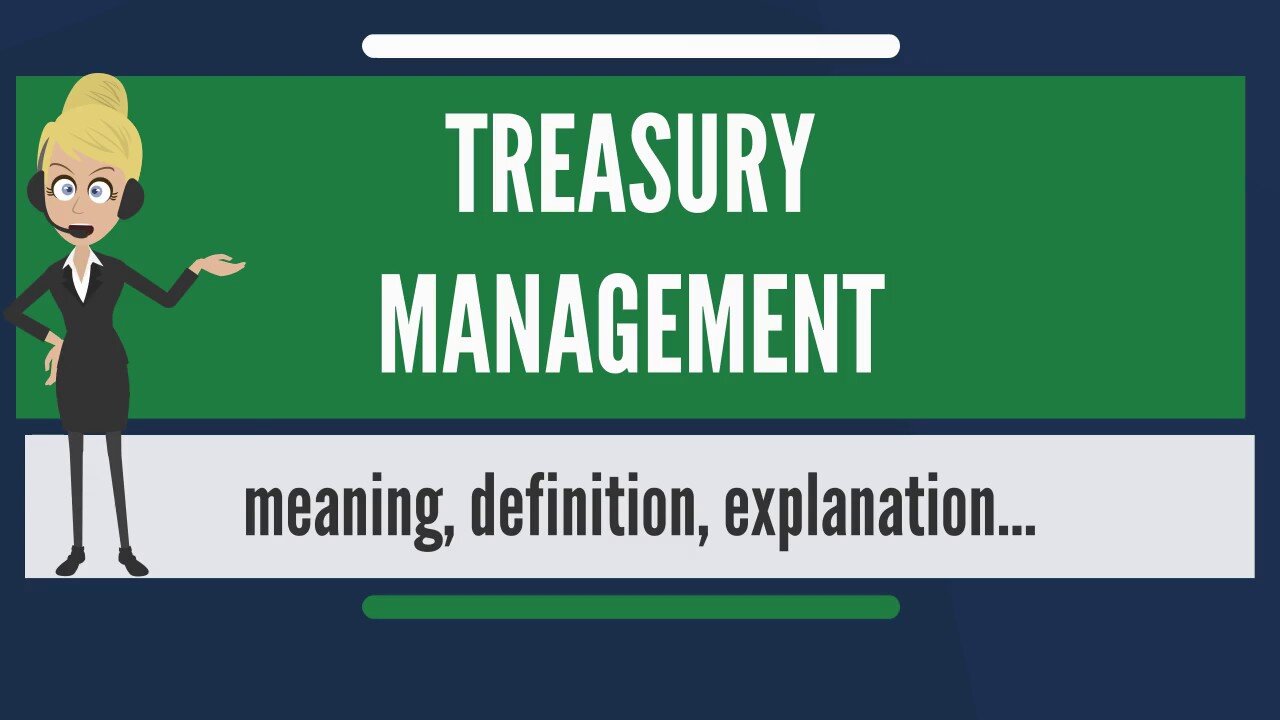 What is TREASURY MANAGEMENT? What does TREASURY MANAGEMENT mean?