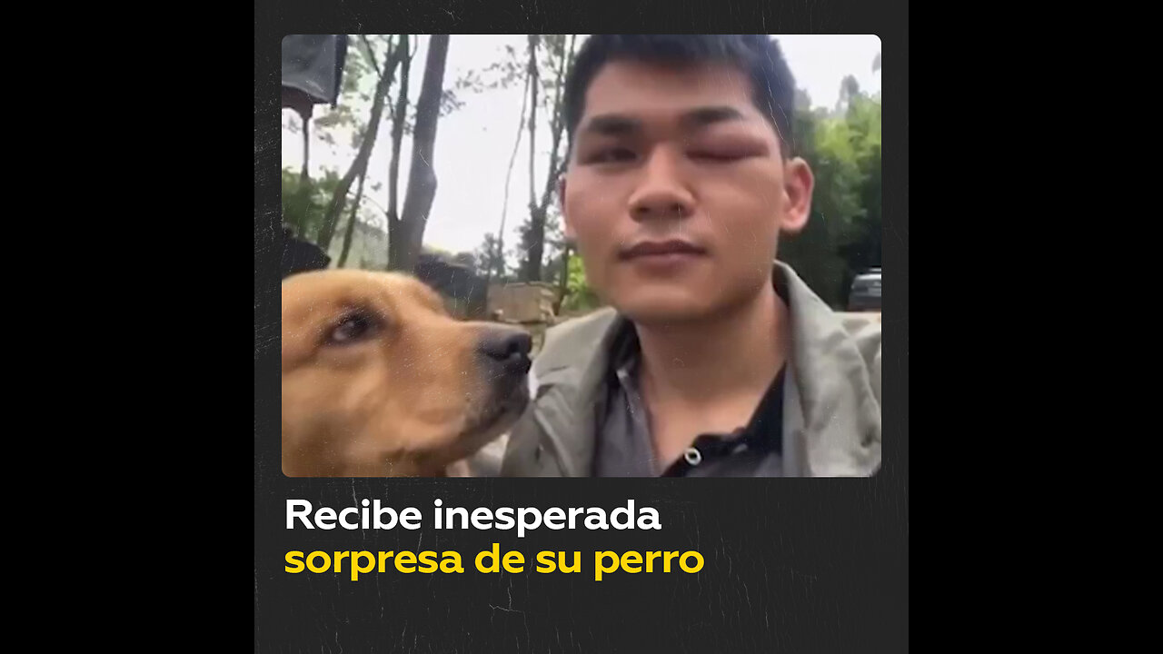 Perro trae a su dueño regalo con una peligrosa sorpresa