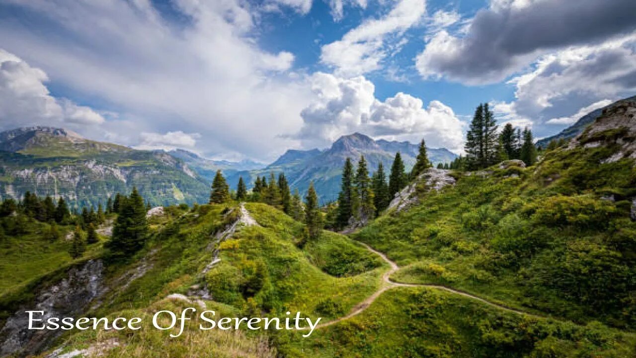 Relaxing Piano Music for Study, Relax, Focus, and Stress Relief 🍃 Essence Of Serenity