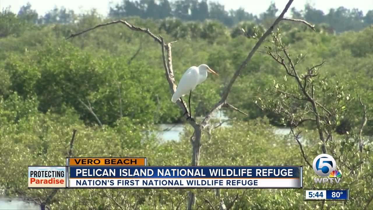 Pelican Island: The first National Wildlife Refuge