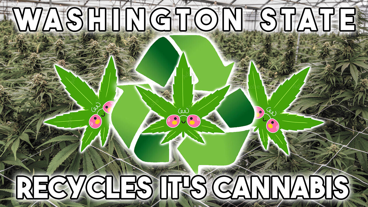 Washington State Recycles its Cannabis