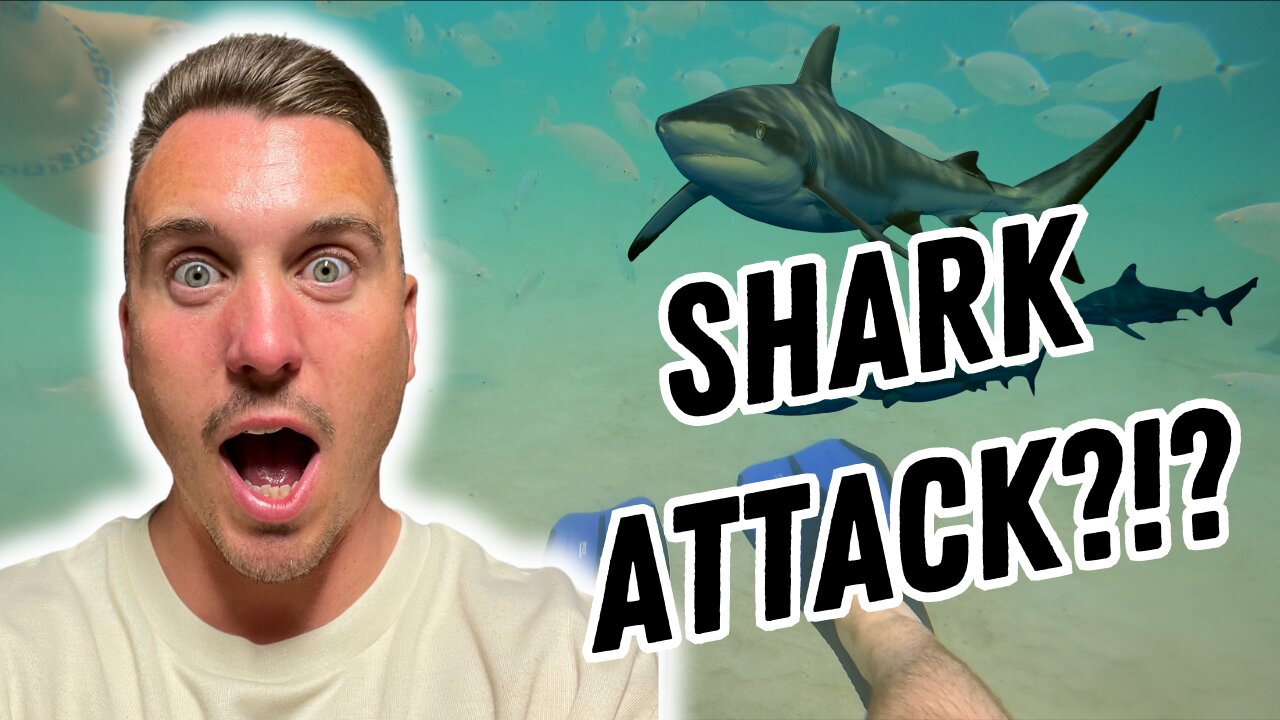 1000s OF FISH ATTACKED US!!! - Spain edition 🇪🇸