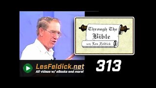 313 - Les Feldick [ 27-1-1 ] Problems of Carnal Believers