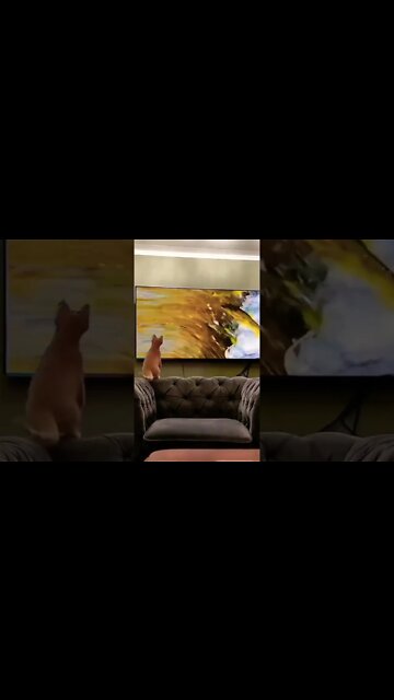 Awwwwww 💞😂 #shorts