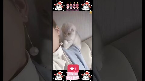 #20_😂😹😂 #Cute #Animals #For #When #You #Are #Stressed 😂😹😂 (#2022)