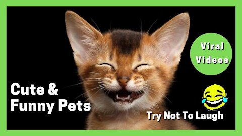 Cute And Funny Pets | Try Not To Laugh 😂😂😂 | Viral Video