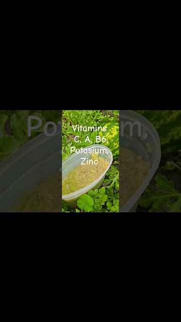 Bigger watermelons?? #shortsvideo #garden #tips #socialmedia #organic #hunting @TalkwithSally