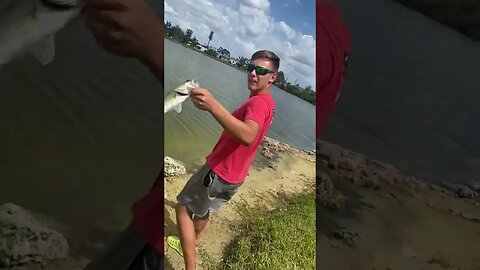 Bass on the little John crank bait!