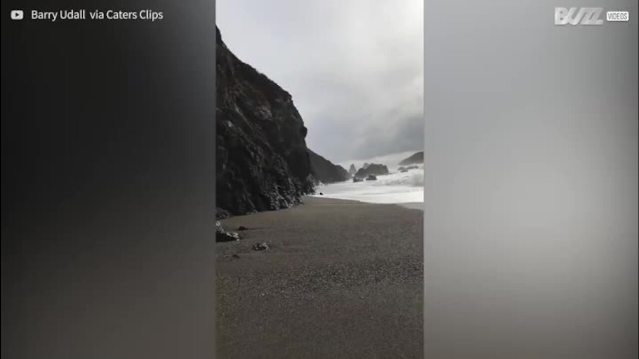 Une famille se fait surprendre par une grosse vague