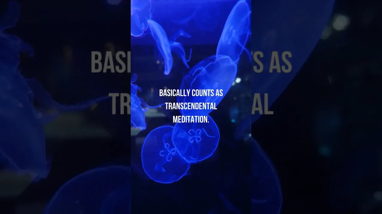 FISH ARE HYPNOTIC...