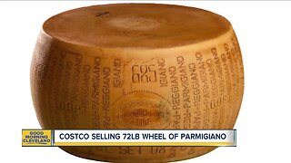 New wheel of cheese is called extravagant