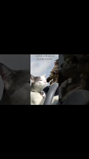 quick lap. #shorts #vondel #vondelwarzone #resurgence #gamingmemes #warzonememes #codmemes #cod #mw2