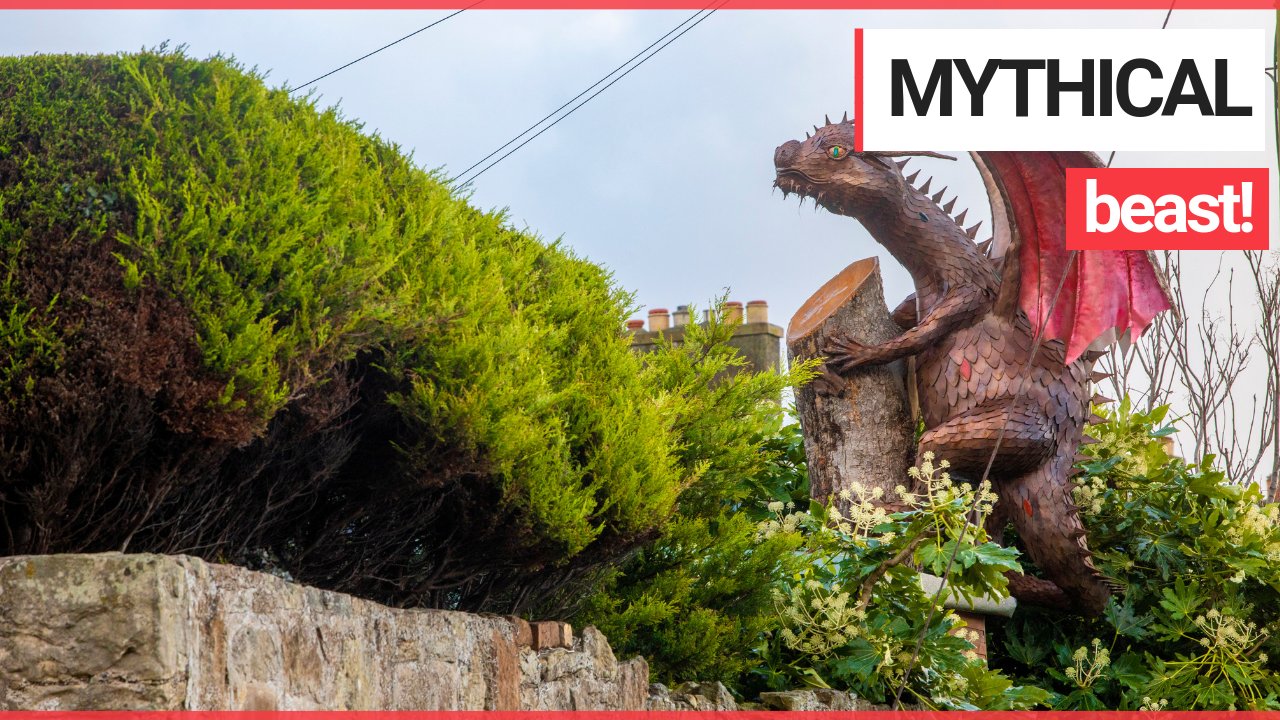 Astonishing 8ft DRAGON sculpture was ‘flown’ into a quaint back garden