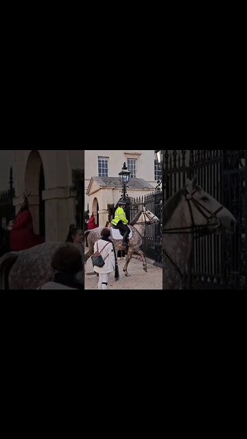 Police horse acting strange #horseguardsparade