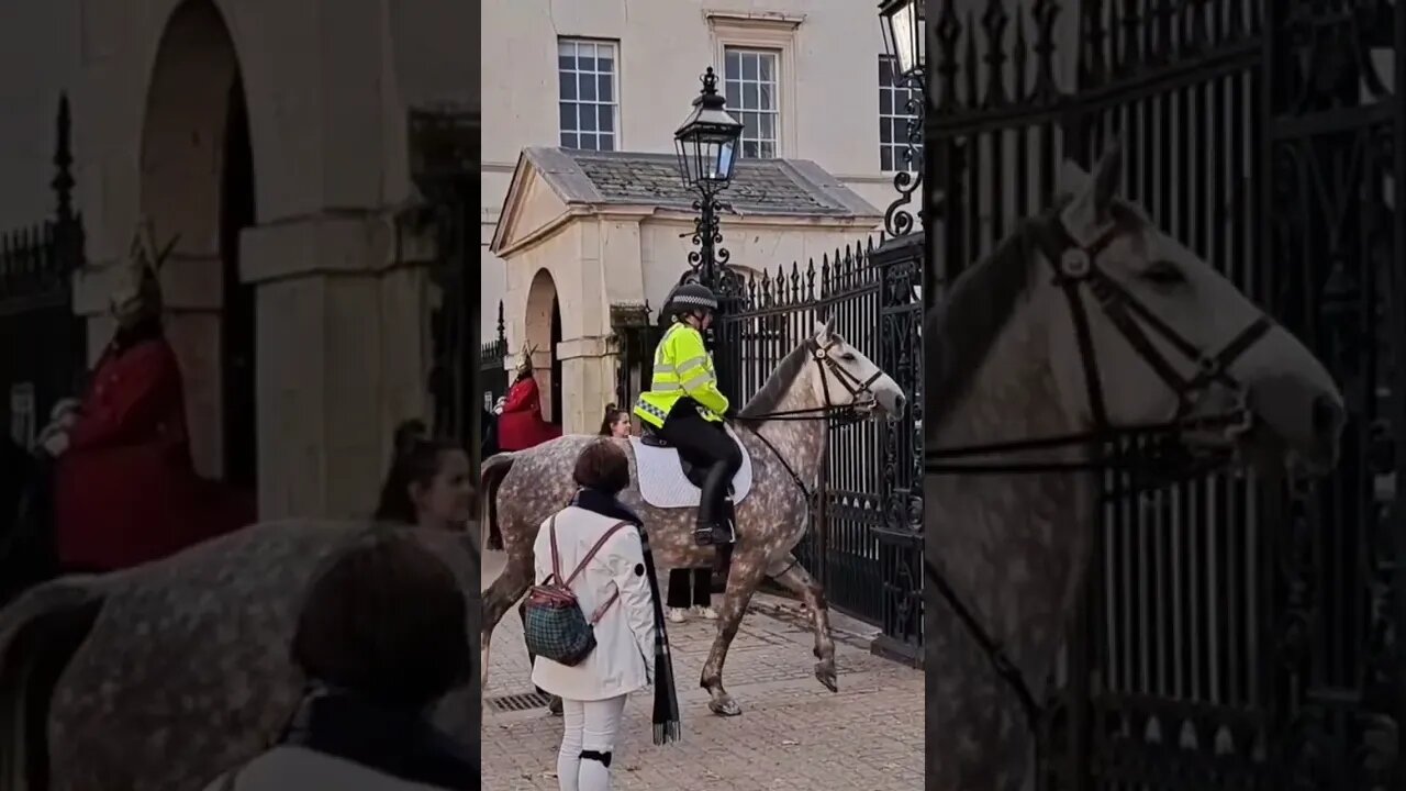 Police horse acting strange #horseguardsparade