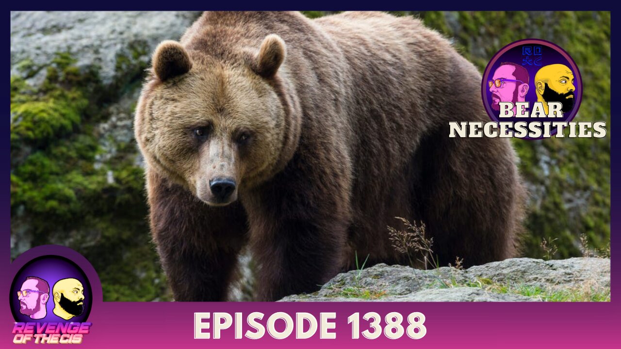 Episode 1388: Bear Necessities