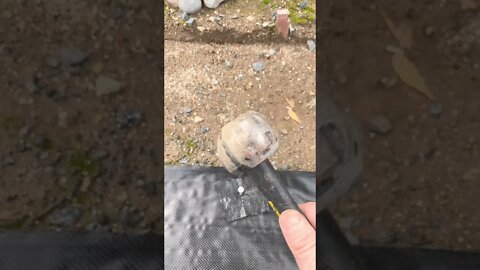 Weed barrier trick that will save you big money