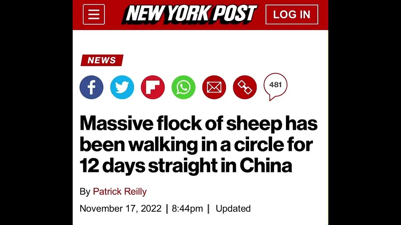 This is weird! Always pay attention to the animals. This Cern has things & people acting different