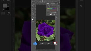 How to a 1 Click in red rose to pink photoshop #shorts #photoshop #trendingshortfffff