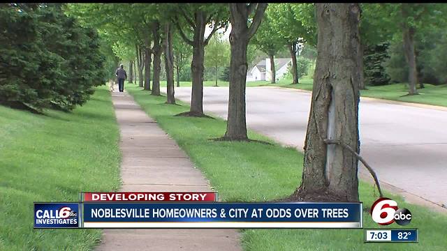 Noblesville community fights to save trees