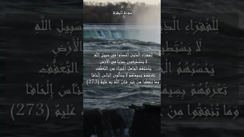 سورة البقرة الآية 273 و 274